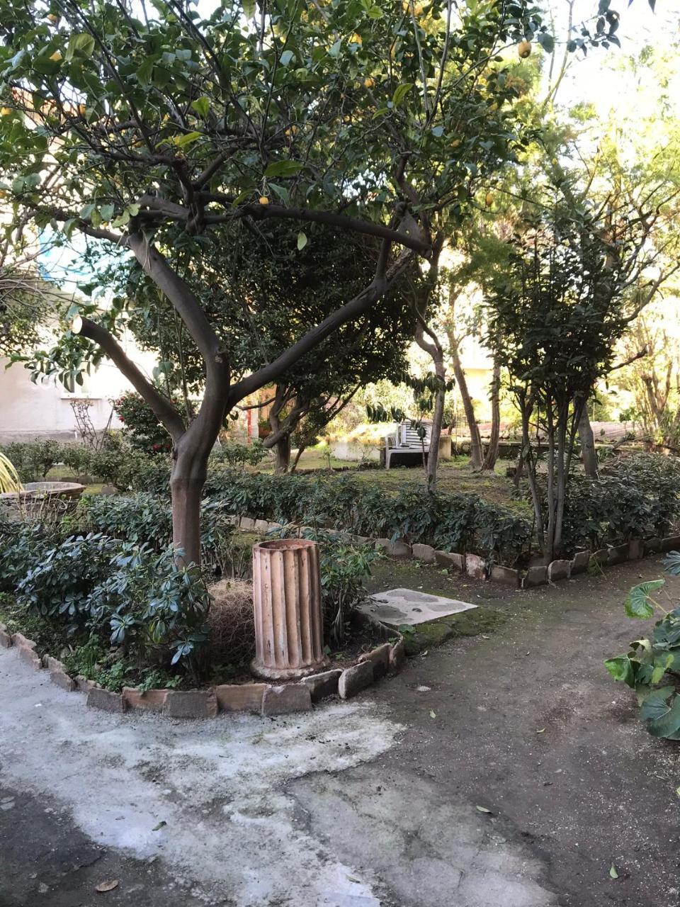 Bed and Breakfast Il Giardino Di Vico Neve à Naples Extérieur photo